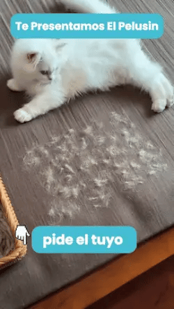 Guante quita pelos en acci&oacute;n